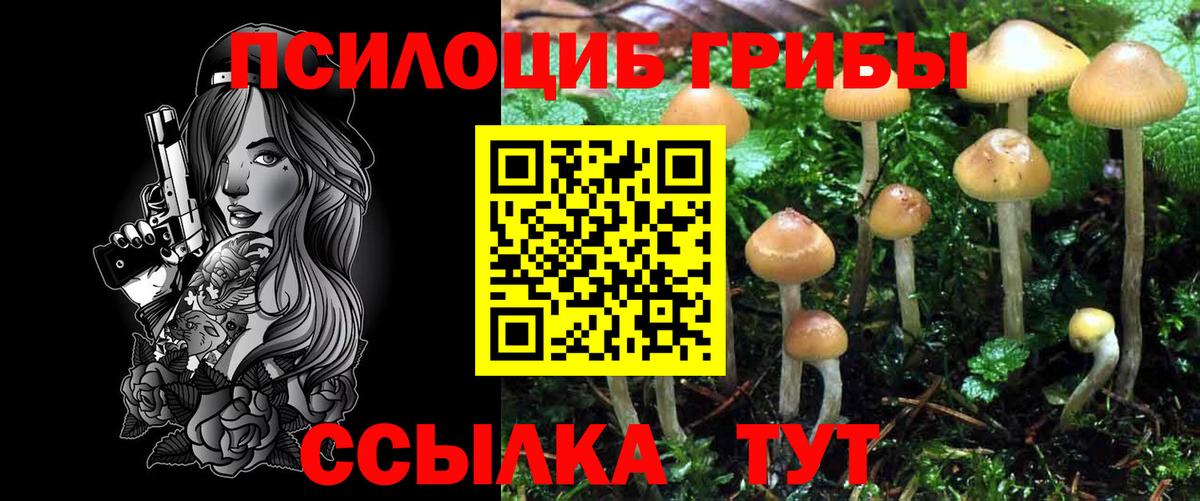 Псилоцибиновые грибы Magic Shrooms  Галлюциногенные грибы прущие грибы  Вход с VPN  Энгельс 