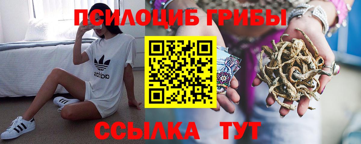 Галлюциногенные грибы GOLDEN TEACHER Энгельс